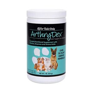 Natural Antioxidant and Enzyme Supplement for Pet Health