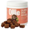 Natural Anxiety Relief for Medium and Large Dogs - Calming Chews with Melatonin