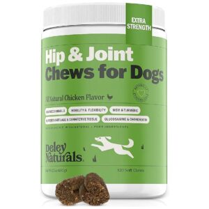 Natural Arthritis Relief for Dogs with Chondroitin MSM Turmeric and Glucosamine