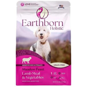 Natural Dry Dog Food with Lamb Meal, Pumpkin, and Nutrient-Rich Superfoods