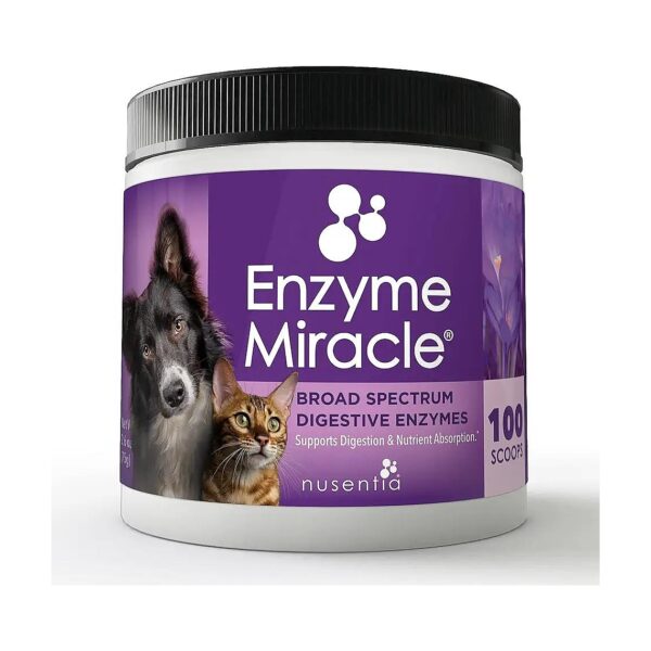 Natural Enzyme Blend for Healthy Weight Management in Cats and Dogs