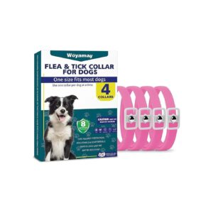 Natural Flea and Tick Prevention for Dogs - 4 Pack Adjustable Collar for All Sizes