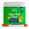 Natural Flea and Tick Prevention for Dogs with Brewer Yeast and Garlic Supplements