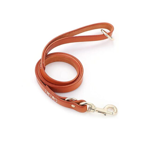 Natural Full Grain Leather Dog Leash for Large Medium Small Breed Dog Training