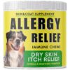 Natural Immune Supplement Treats for Allergy-Prone Dogs