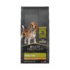 Natural Ingredients Adult Dog Food with Probiotics for Weight Management and Muscle Mass