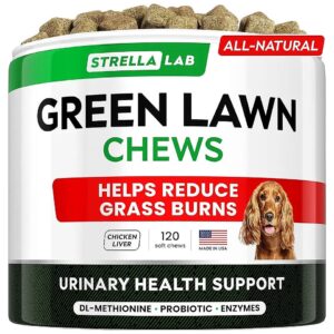 Natural Ingredients for Healthy Pets and Healthy Lawns