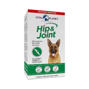 Natural Joint and Bone Health Supplement for Dogs with MSM and Calcium