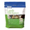 Natural Lamb Milk Replacer for Adult Sheep Nutrition