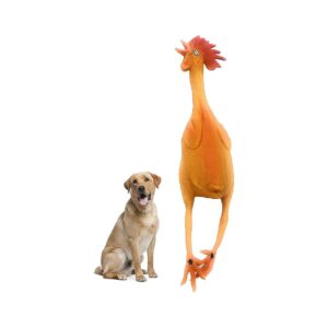 Natural Latex Rubber Chicken Toy for Small to Medium Breed Dogs Enlarged for Safe Play