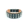 Natural Leather Dog Collar with Screw Spikes and Soft Padded Interior for Customer Dogs