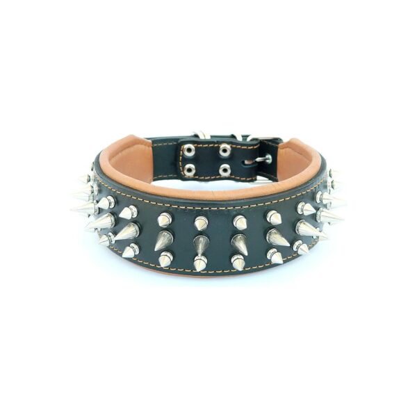 Natural Leather Dog Collar with Screw Spikes and Soft Padded Interior for Customer Dogs