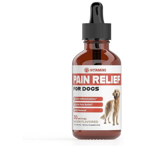 Natural Liquid Pain Relief for Dogs with Joint, Hip, and Heart Health Benefits