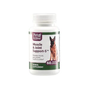 Natural Muscle and Joint Support Supplement for Dog and Cat Health and Comfort