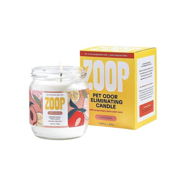 Natural, Non-Toxic, and Eco-Friendly Pet Odor Eliminator Candle