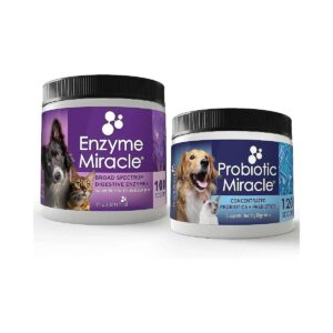 Natural Probiotics and Enzymes for Pet Digestive Care