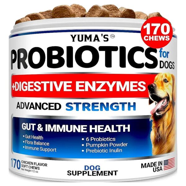 Natural Probiotics for Dog Upset Stomach, Constipation, and Diarrhea Relief