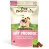 Natural Probiotics for Dogs Digestive Health and Allergy Relief