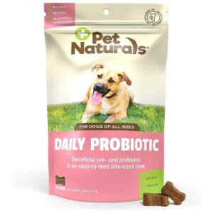 Natural Probiotics for Dogs Digestive Health and Allergy Relief