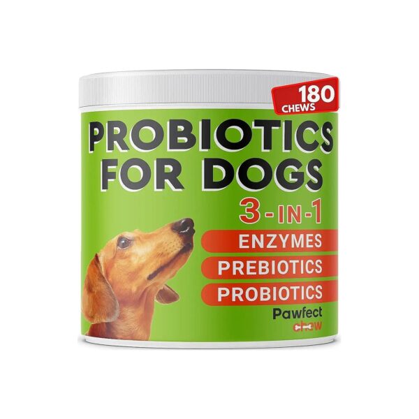 Natural Probiotics for Dogs - Gut Health, Relieves Constipation and Diarrhea