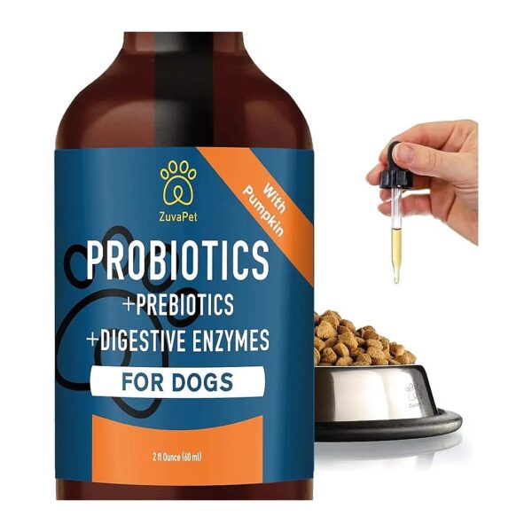 Natural Probiotics for Dogs, Prebiotic Pet Supplies for Gut Health