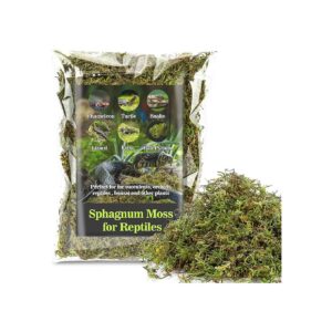 Natural Reptile Moss Substrate for Snakes Turtles Frogs and Geckos