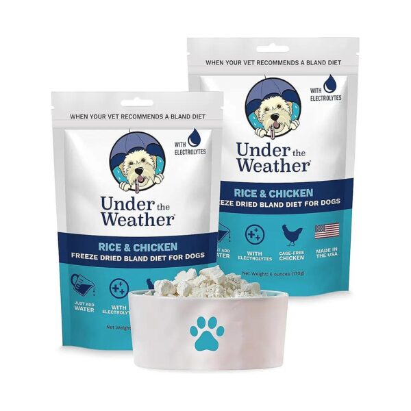 Natural and Gluten-Free Bland Diet for Dogs with Freeze-Dried Meats and Rice