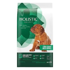 Natural and Holistic Dry Food Recipe for Large Breed Puppies with Omega 3 and Probiotics