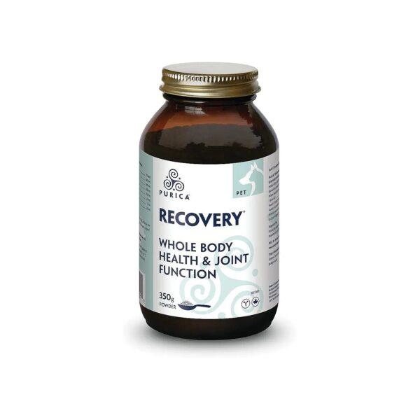 Natural and Safe Advanced Joint Support Supplement for Pets Recovery SA Powder