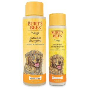 Natural and Safe Oatmeal Shampoo and Conditioner for Dogs with Dry Skin