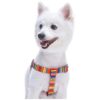 Nautical Flags Inspired Checkered Polyester Dog Harness with Adjustable Chest Girth 5-5