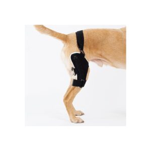 Neoprene Splinted Knee Brace for Dogs with Torn ACL and Flexible Support