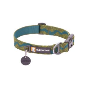 New River Webbing Dog Collar for Walking and Everyday Use with Solid Color