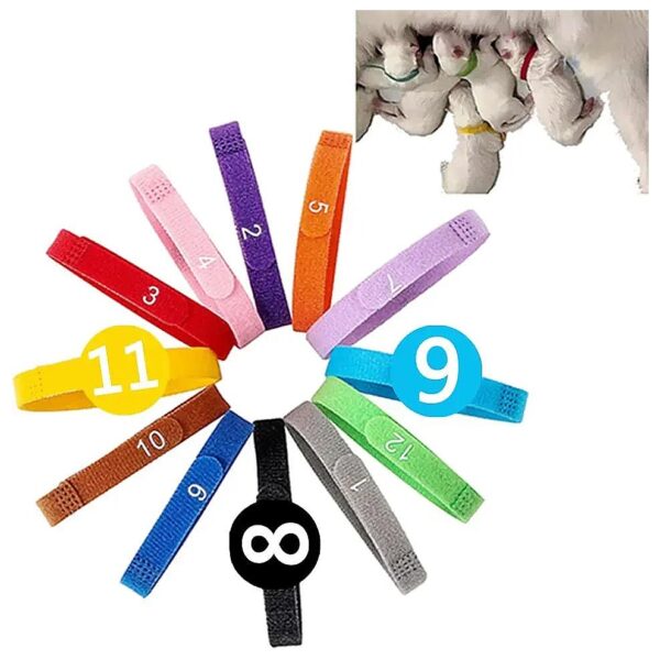 Newborn Puppy ID Collars with Numbers for Whelping Dogs in Small Medium Large Sizes