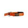 Nickel Buckle Nylon Dog Collar with Neoprene Lining and Durable Construction