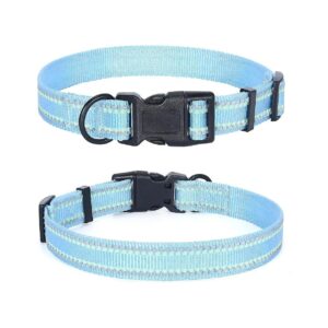 Night Walk Safety Collar for Medium Dogs with Self-Luminescence Band