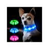 Night Walking LED Dog Collar with Adjustable Size for Small to Large Breed Dogs