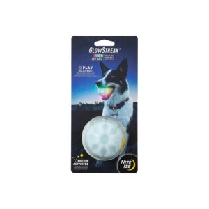 Nighttime Glow LED Dog Ball for Small Medium Dogs - Color Changing Puppy Ball