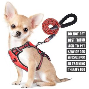 No Choke Dog Harness with 2 D Rings for Casual Walking or Running