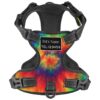 No Choke No Pull Dog Harness with 2 Leash Rings and Soft Cushion for Comfortable Walking