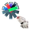 No Crow Noise Rooster Collar for Healthy and Happy Chickens