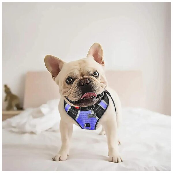 No Pull Adjustable Pet Harness with Reflective Oxford Soft Vest for Small Dogs