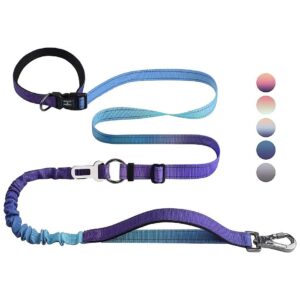 No Pull Bungee Leash with Car Seat Belt Compatible Design for Safe Travel with Dogs