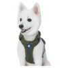 No Pull Classic Dog Harness for Large Dogs with Step in Design