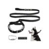 No Pull Dog Collar and Leash for Safe and Enjoyable Outdoor Walking