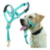 No Pull Dog Collar with Soft Padding and Adjustible Strap for Comfortable Walks