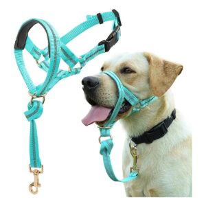 No Pull Dog Collar with Soft Padding and Adjustible Strap for Comfortable Walks