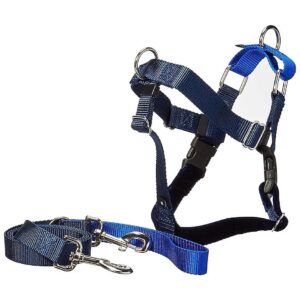 No Pull Dog Harness Leash Training Package Royal Blue Large Nylon Velvet Lined