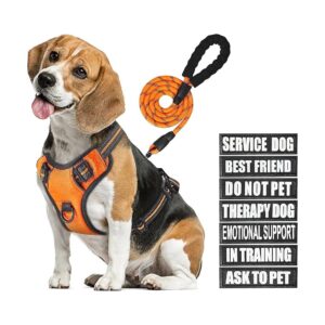 No Pull Dog Harness Set with Leash and 7 Dog Patches for Different Situations