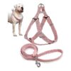 No Pull Dog Harness and Leash Set for Small Breed Dogs with Floral Pattern